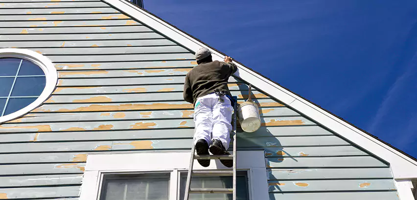Professional Roof and Siding Repair Services in Everett, WA