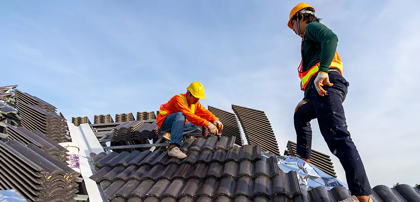 Professional Roofing Services in Everett, WA