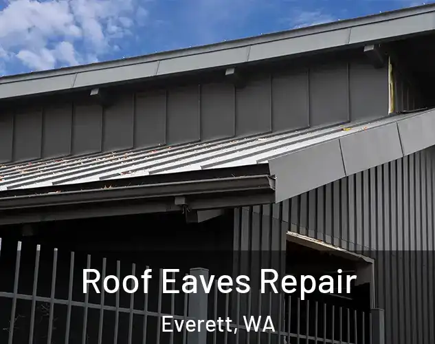 Roof Eaves Repair Everett, WA