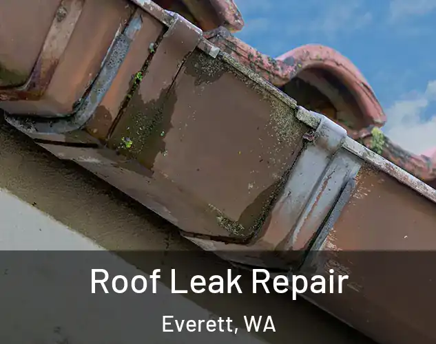  Roof Leak Repair Everett, WA