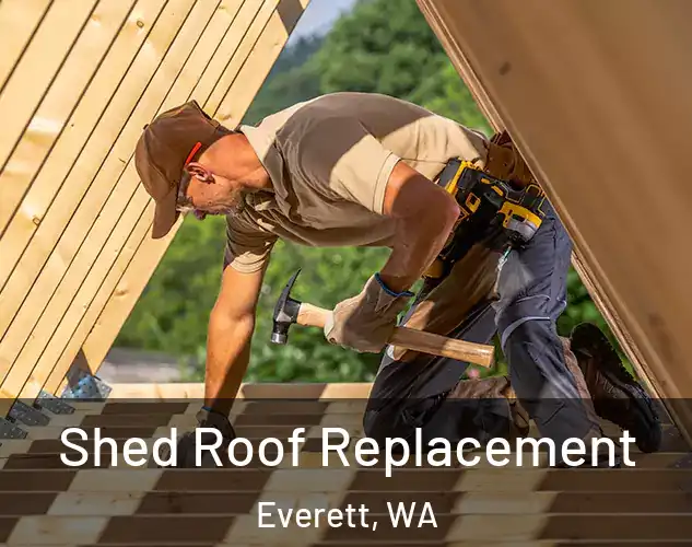  Shed Roof Replacement Everett, WA