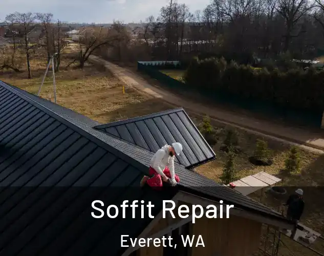  Soffit Repair Everett, WA